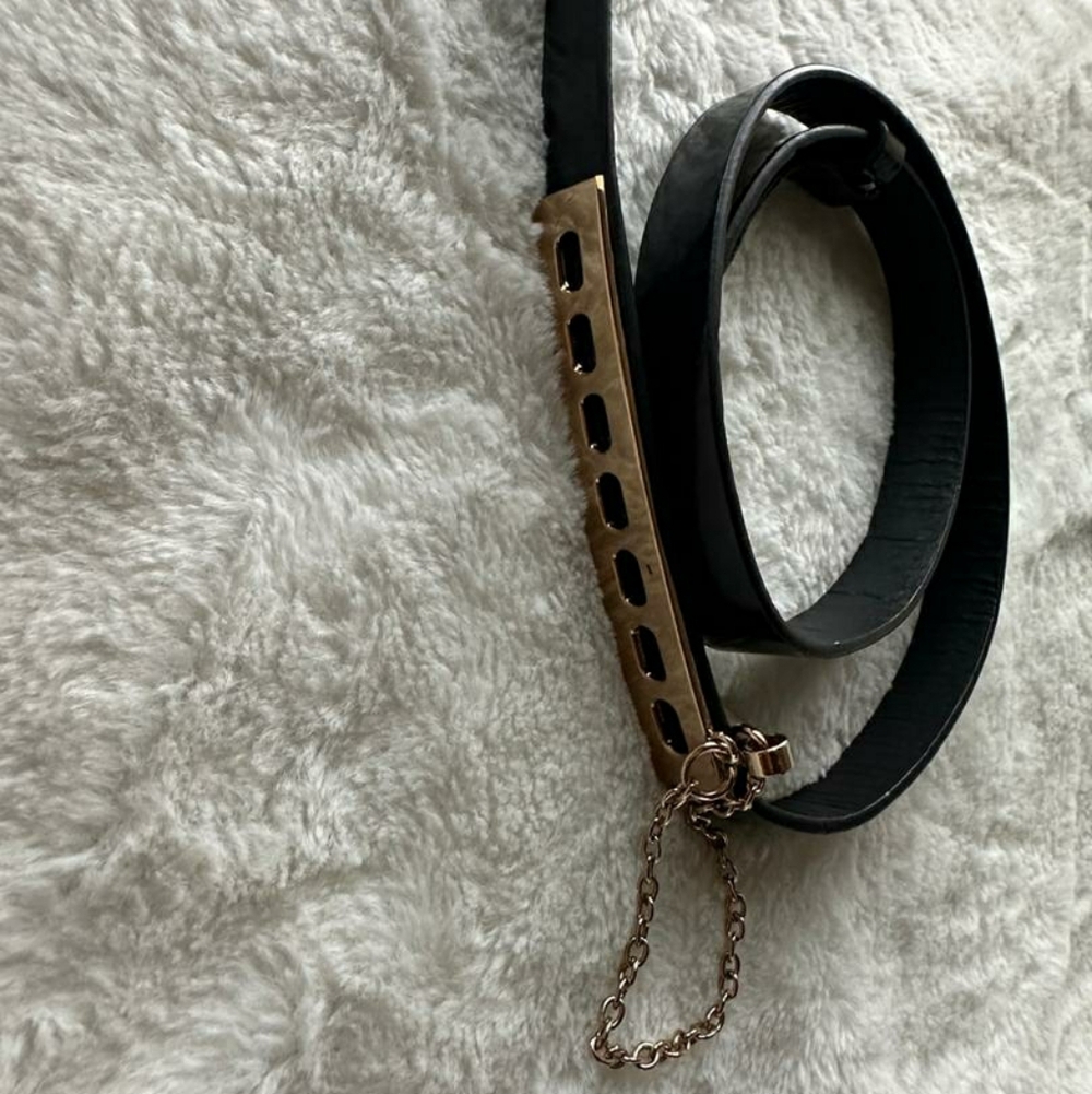 Decorative Women's Belt Featuring a Black Strap and a Metallic Gold-toned Buckle